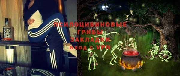МДПВ Алексин