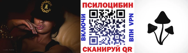 Псилоцибиновые грибы мухоморы  Купить закладки  Екатеринбург 